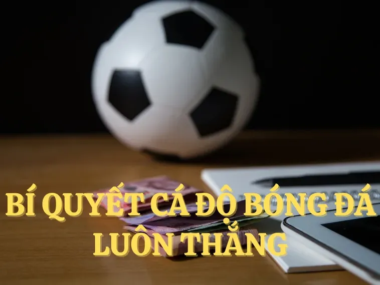 Tìm Hiểu Cá Cược Bóng Đá 77Bet: Hành Trình Giải Trí Đỉnh Cao